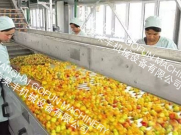 Fruit and Vegetable Sorting Machine