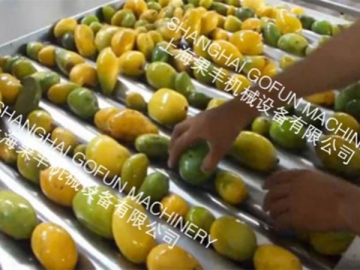 Fruit and Vegetable Sorting Machine