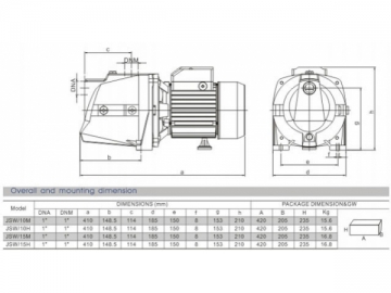 Self-Priming Jet Pump, JSW Series