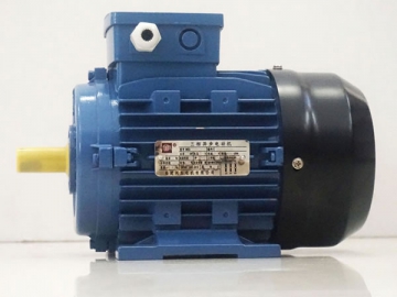 Electric Motor, MS Series