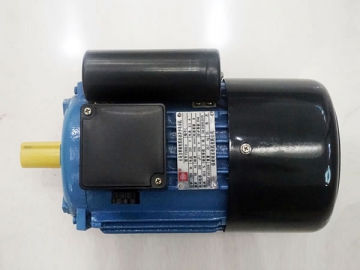 Electric Motor, MS Series