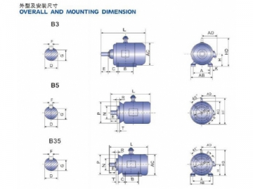 Electric Motor, Y Series