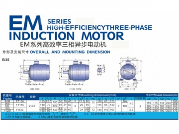 EM Series (IE2)