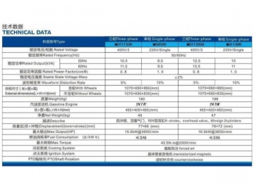 8.5-11kw Gasoline Generator Set (CHINA Engine)