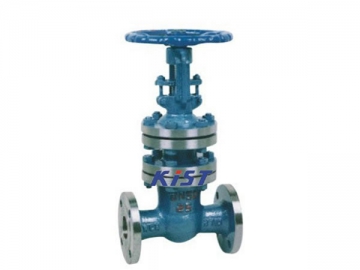 Bellows Seal Gate Valve