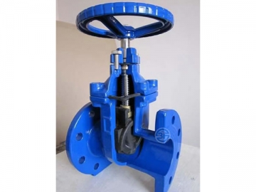 Resilient Seated Gate Valve