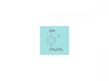 2-Tert-butyl-4-ethylphenol 2010