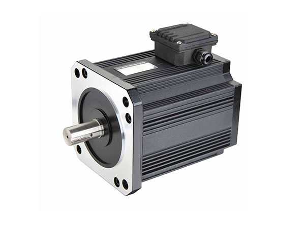 AC Synchronous Motor | Permanent Magnet Motors | Dongling Motor | ETW ...