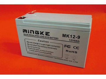 0.8AH-28AH VRLA Battery