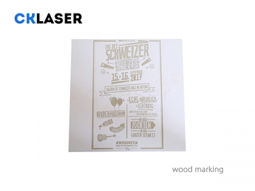 3D CO2 Laser Marker