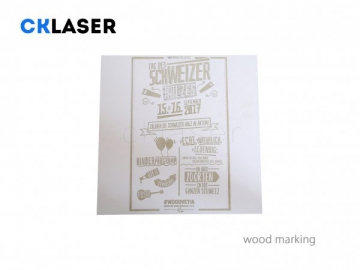 Low-Power CO2 Laser Marker