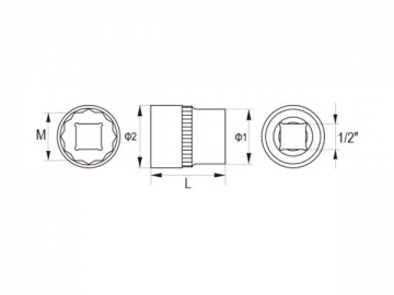 1/2 Inch Dr. 12PT Reg Socket