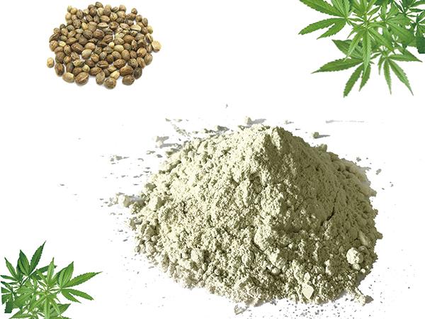 hemp-seed-protein-powder-manufacturer-cloud-computing-at-etw