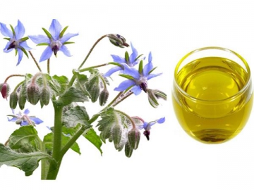 Borage seed oil