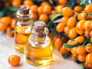 Sea buckthorn seed oil