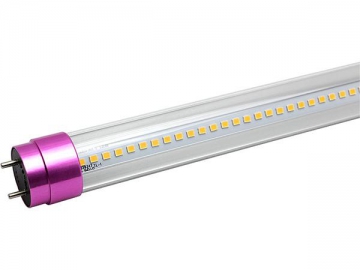 Super Brightness ST8 LED Tube Light