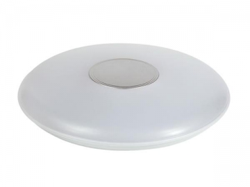 LED Ceiling Light