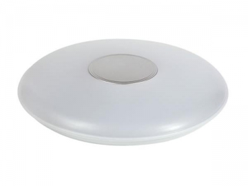 LED Ceiling Light