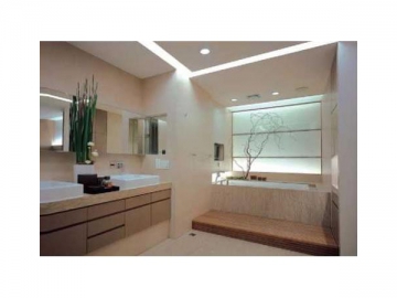 LED Ceiling Light