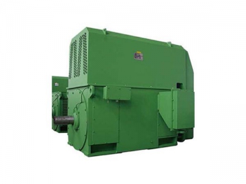 Large Size Cage Motor