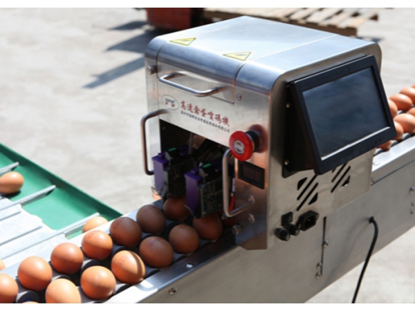 Egg Grader | Egg grading machines - 101B