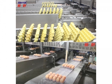 Commercial Egg Processing Machines Supplier. Egg Processing Line