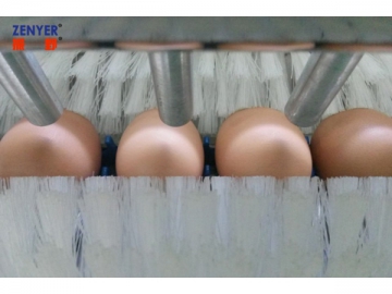 302B Egg Processing Line with Cleaning & Grading (10000 EGGS/HOUR)