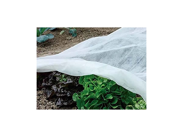 Nonwoven Frost Cover | Plant Protection Fabric | Horticulture Cover